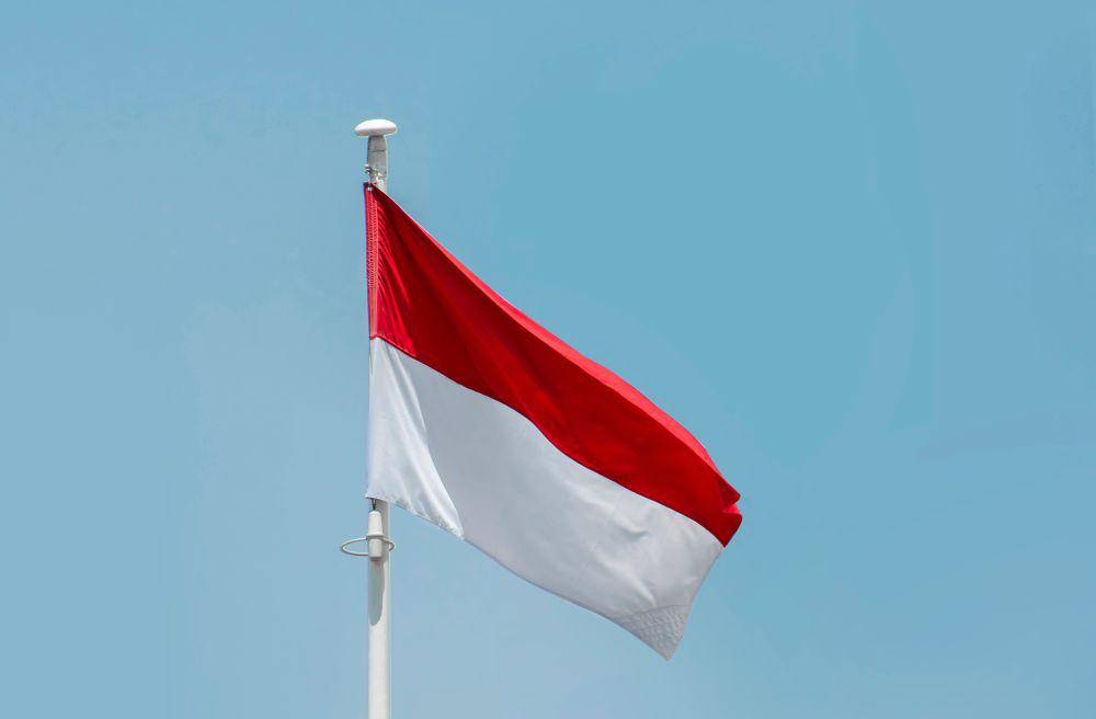 ilustrasi bendera Indonesia (unsplash.com/aboodi_vm)