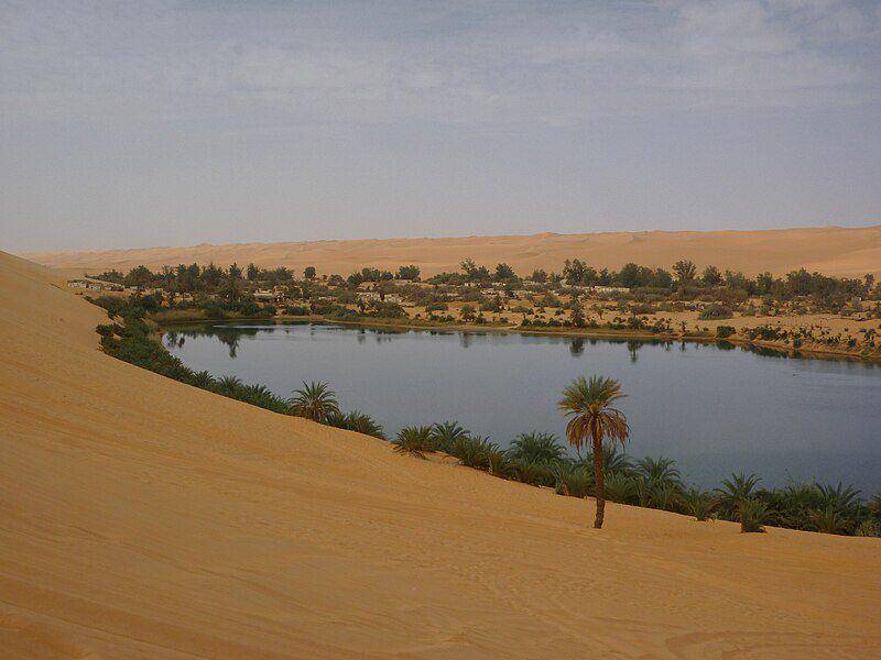 oasis di tengah hamparan gurun pasir (commons.wikimedia.org/Franzfoto)