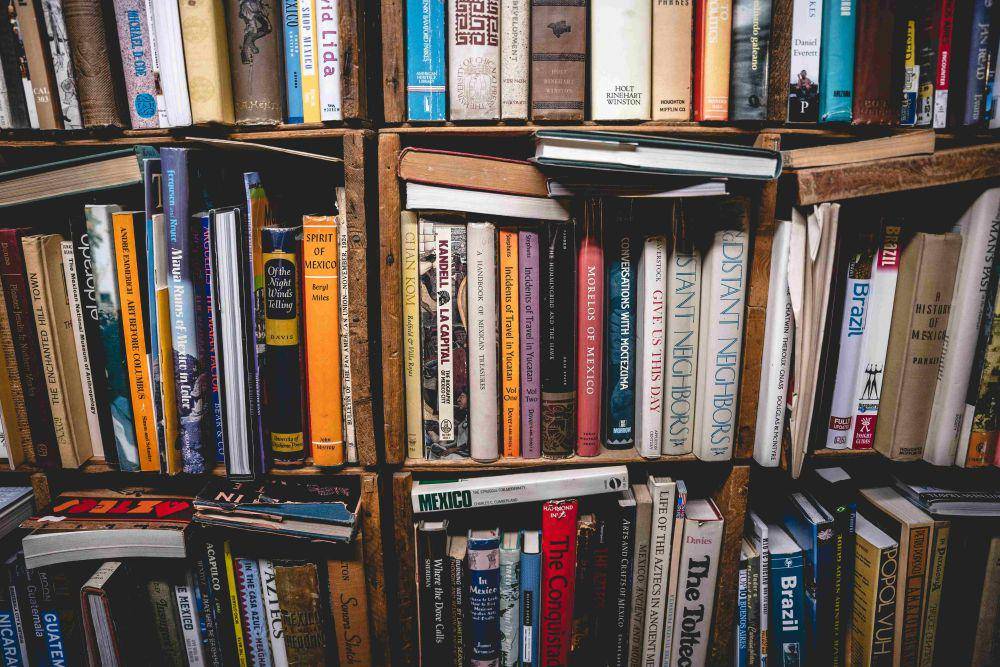 ilustrasi book thrifting (unsplash.com/Dan Wayman)