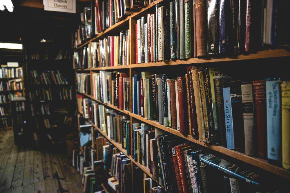 ilustrasi book thrifting (unsplash.com/Dan Wayman)