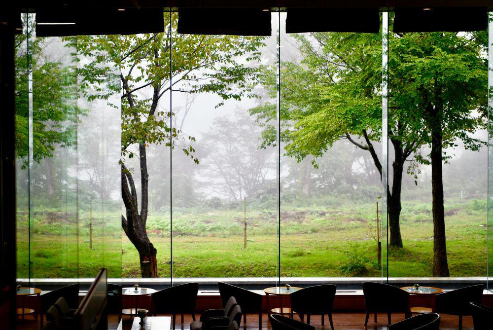 Rekomendasi Kafe di Hutan Pinus Jogja, Tempat Indah untuk Healing