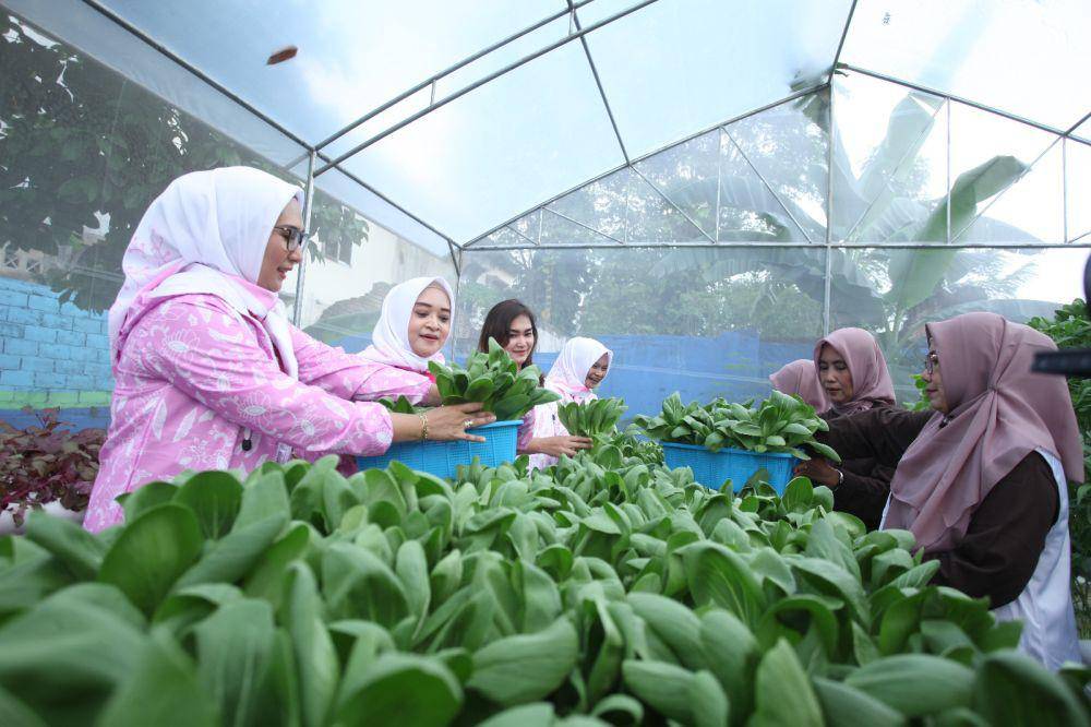 Urban farming Ibu-ibu PKK Kelruahan Sudirejo I bareng BRI (dok.BRI)