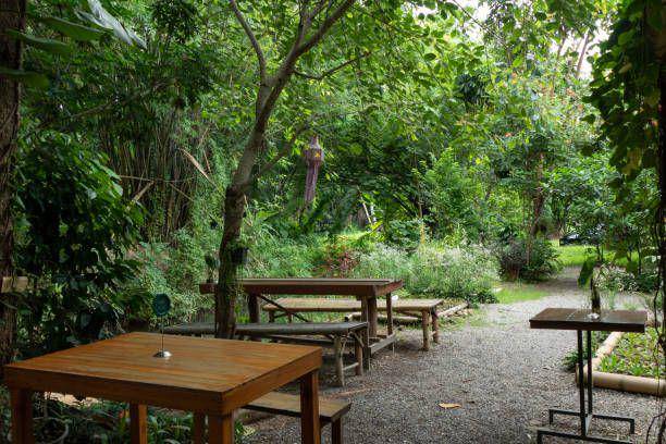 Ilustrasi cafe di tengah hutan. istockphoto.com