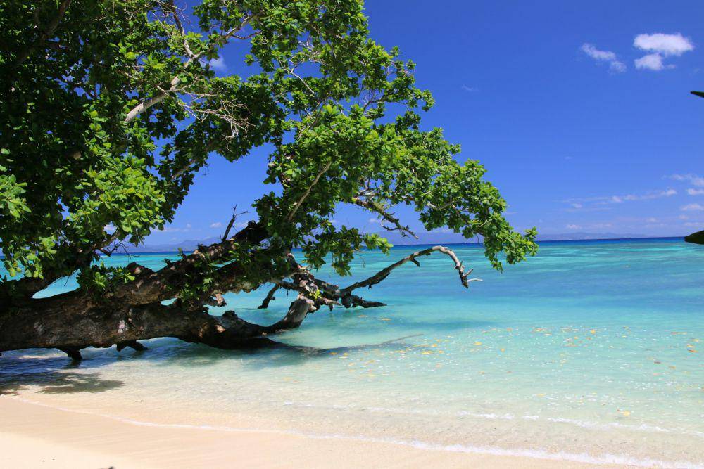 Taveuni (unsplash.com/Manuela Tauferner)