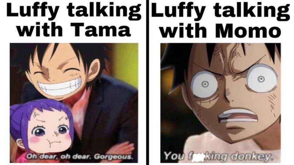 potret meme Momonosuke (reddit.com/user/TheWillOfMarco)