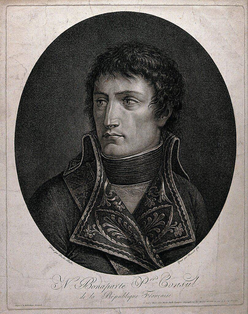 Napoleon Bonaparte (commons.wikimedia.org/Wellcome Images)