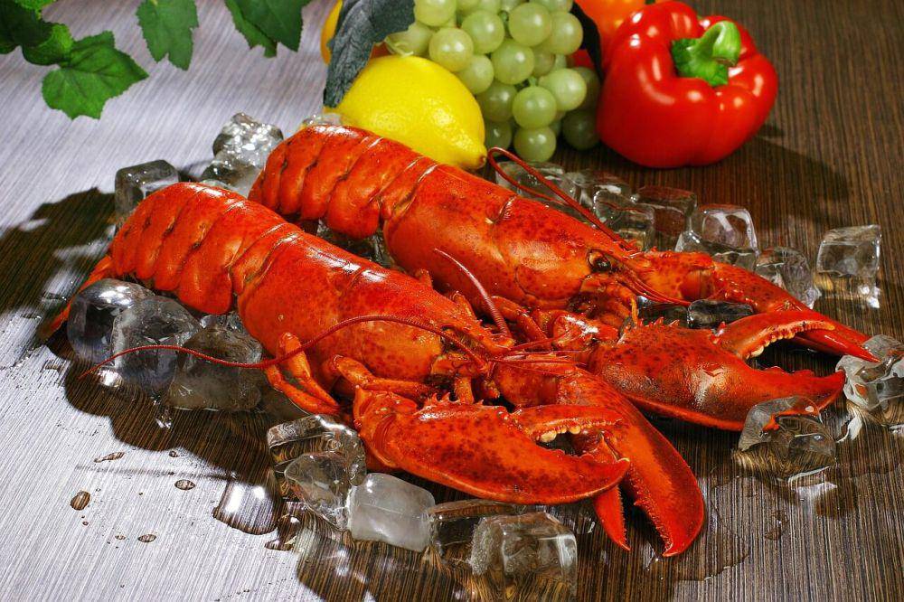 ilustrasi lobster seafood (pixabay.com/ksbaeg)