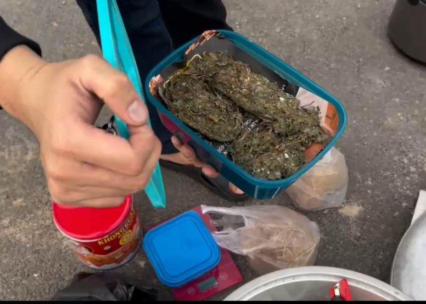 Kebakaran Kebun Ganja di Thailand, Warga Jadi Tertawa Terbahak-bahak