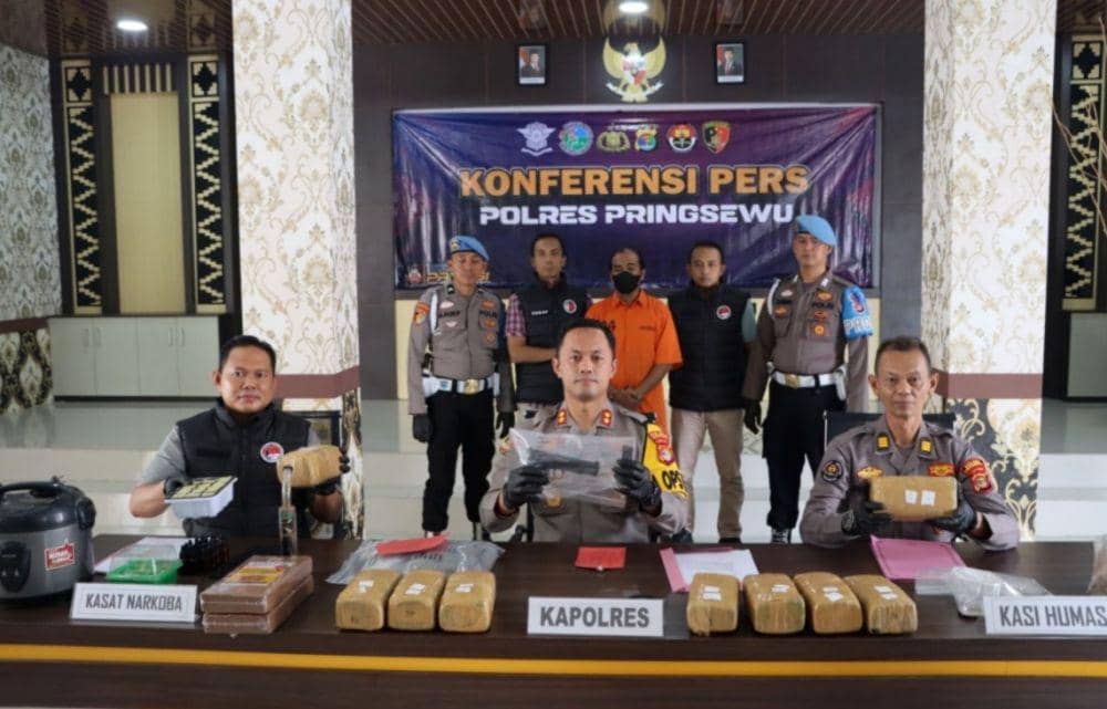 Warga di Pringsewu Sulap Rumah jadi Lokasi Budidaya Tanaman Ganja
