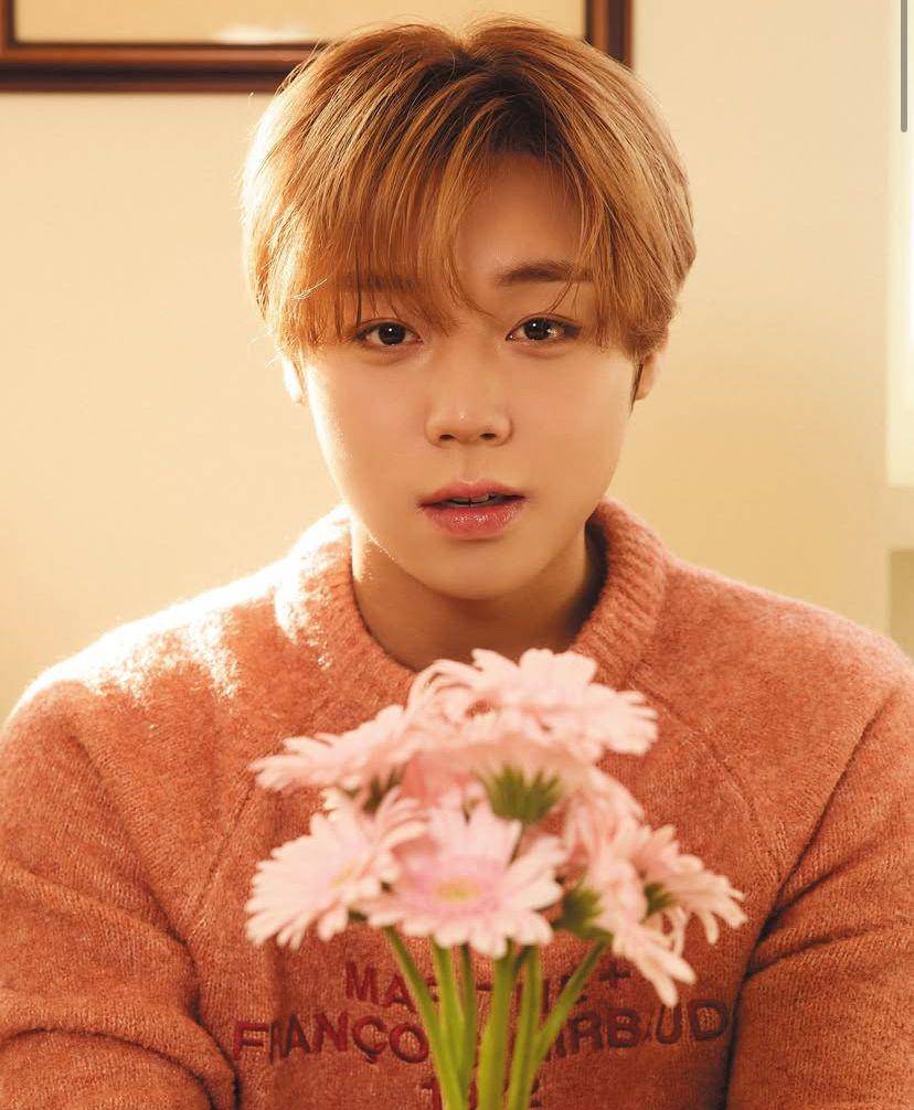 harga tiket fan meeting Park Ji Hoon di Jakarta 2025 dan cara belinya (Instagram.com/yy_ent)