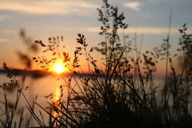 ilustrasi sunset (pexels.com/brittany)