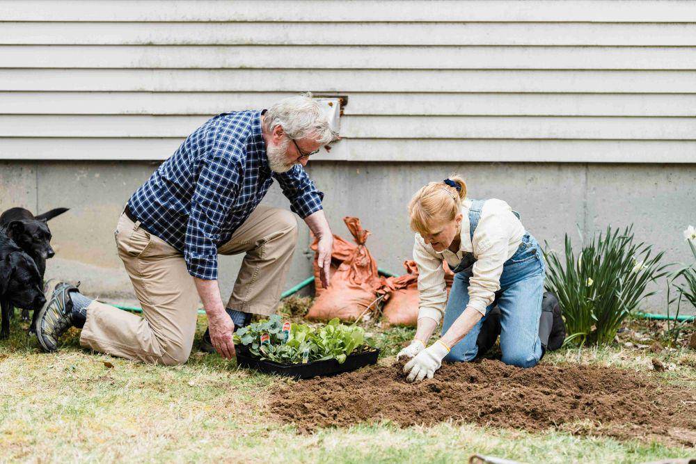 ilustrasi pasangan melakukan hobi berkebun bersama (pexels.com/Greta Hoffman)