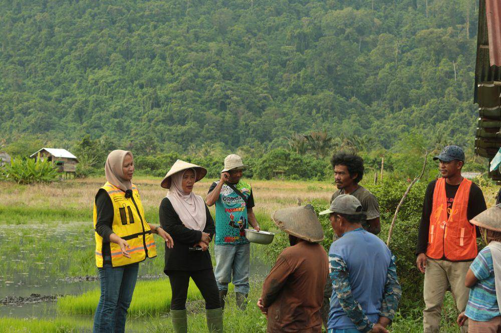 PT Vale Indonesia memberikan pendampingan pertanian dengan metode SRI (System of Rice Intensification) organik (vale.com)