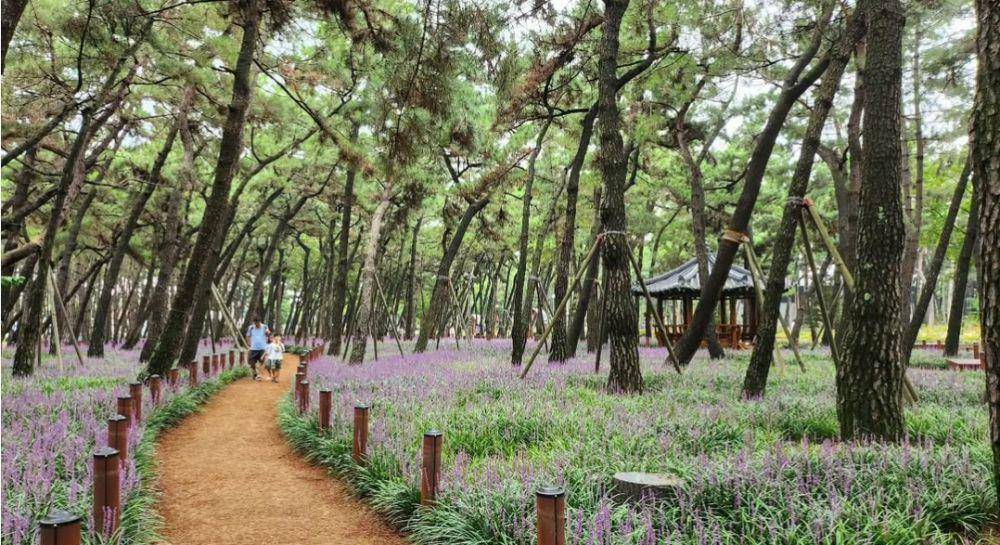 potret Songdo Songrim Theme Street di Korea Selatan (instagram.com/son.star2.5)