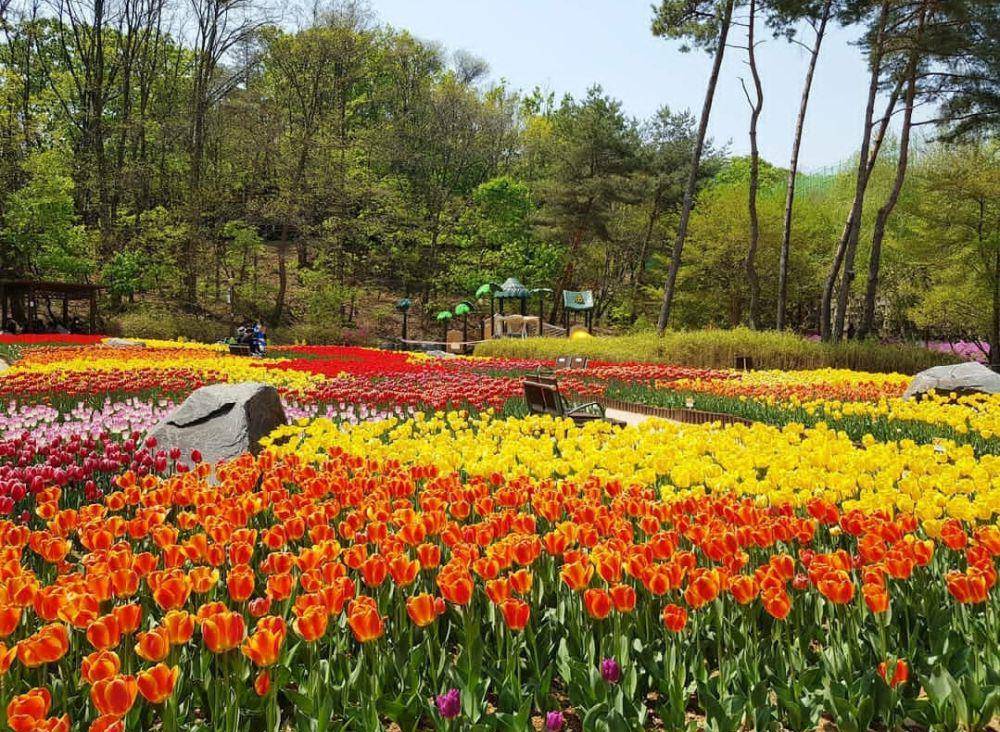 Potret Jikdong Neighborhood Park di Korea Selatan (instagram.com/minkyoung_2)