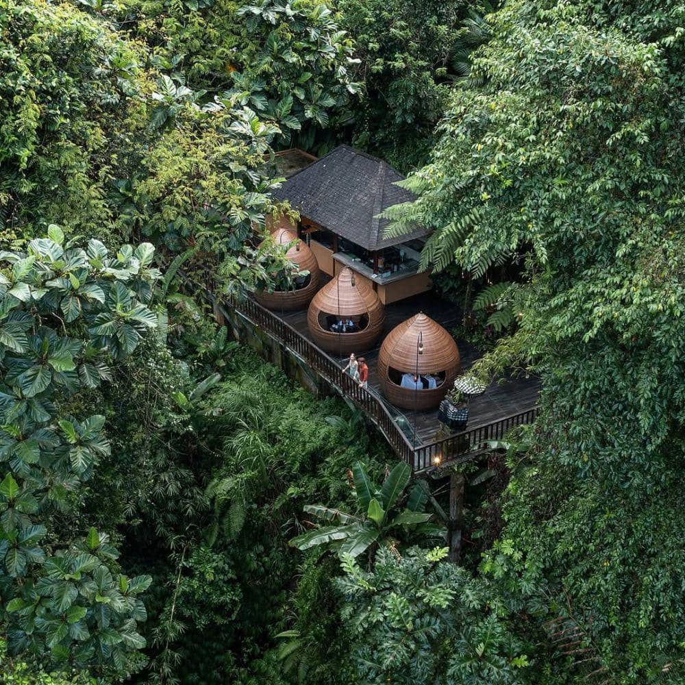 KePitu Restaurant (instagram.com/kepiturestaurantatjungle)