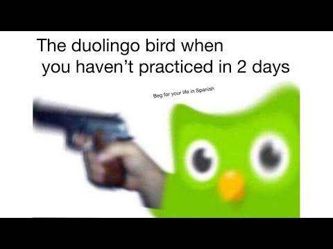 siapa Duo maskot Duolingo (9gag.com)