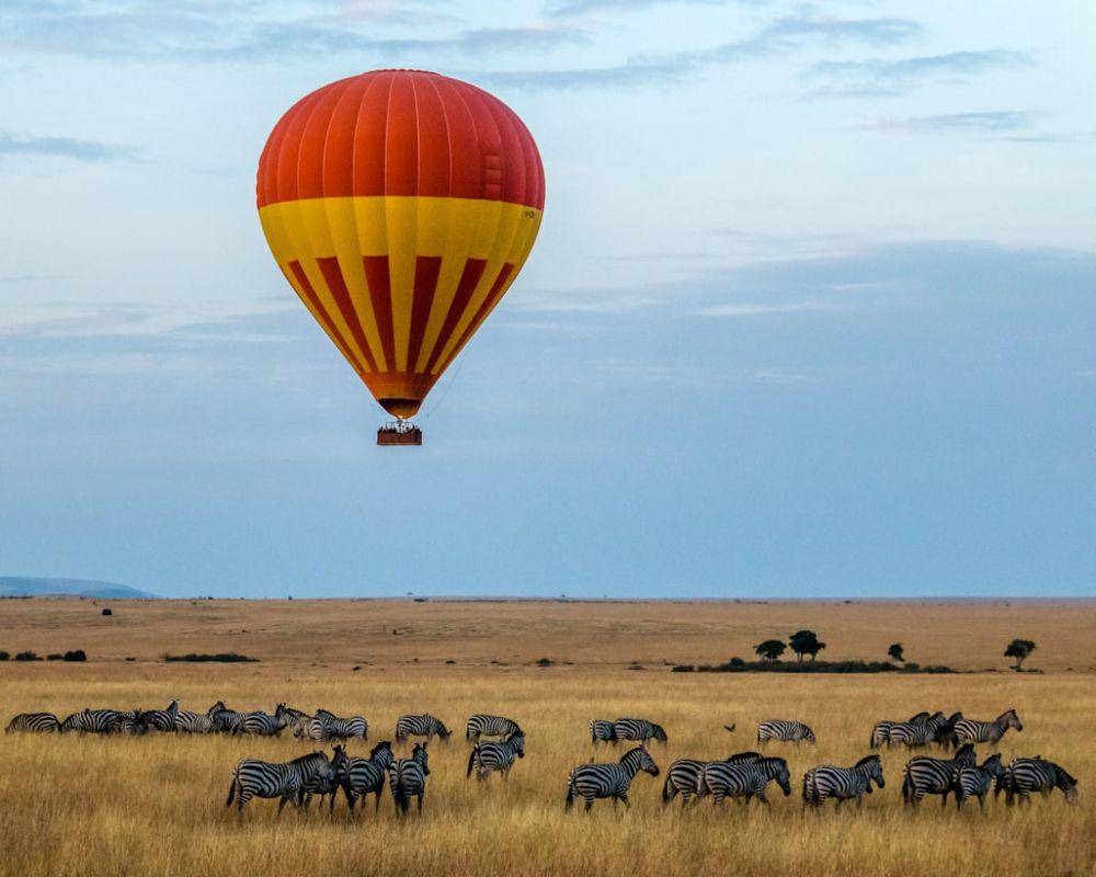 ilustrasi destinasi ikonik di Afrika (unsplash.com/Sutirta Budiman)