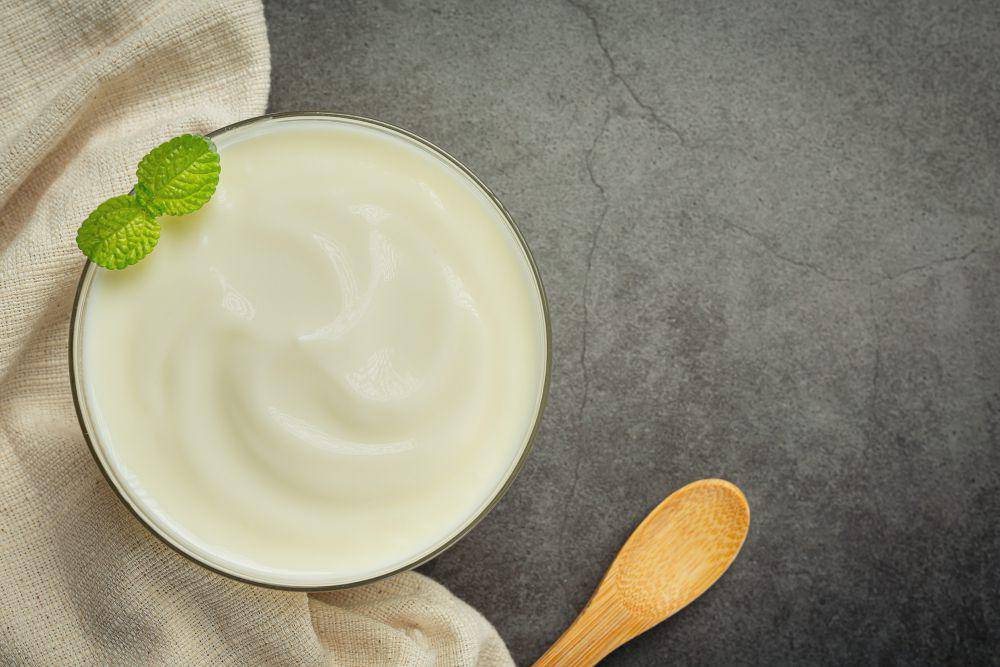 cara membuat yogurt