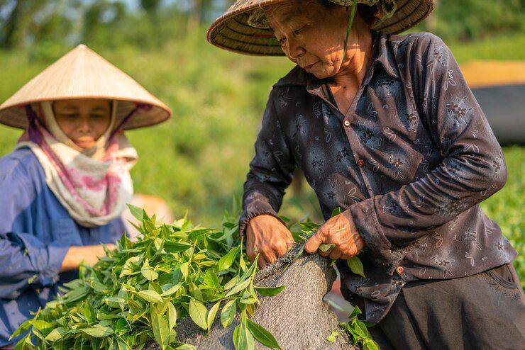 ilustrasi petani lokal (freepik.com/wirestock)