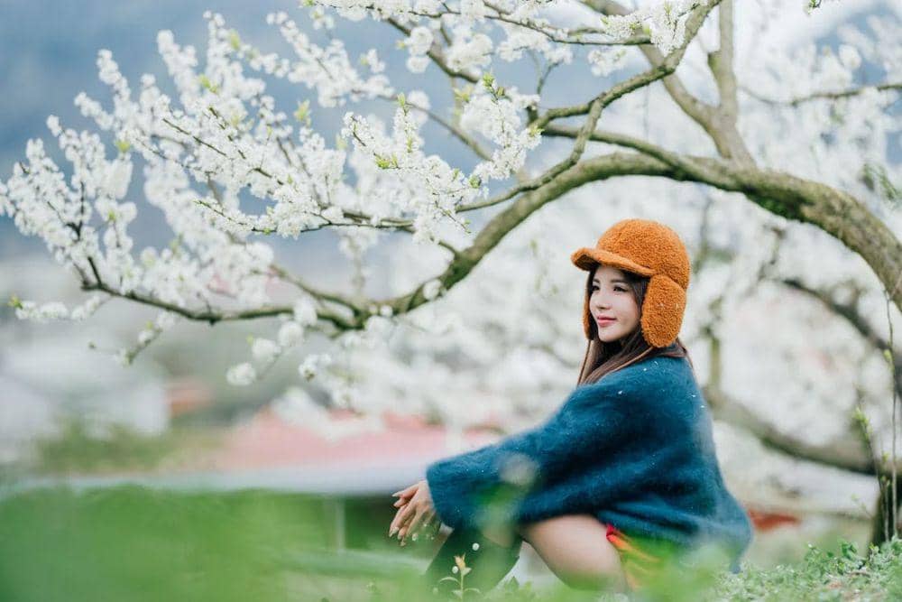 ilustrasi di taman bunga