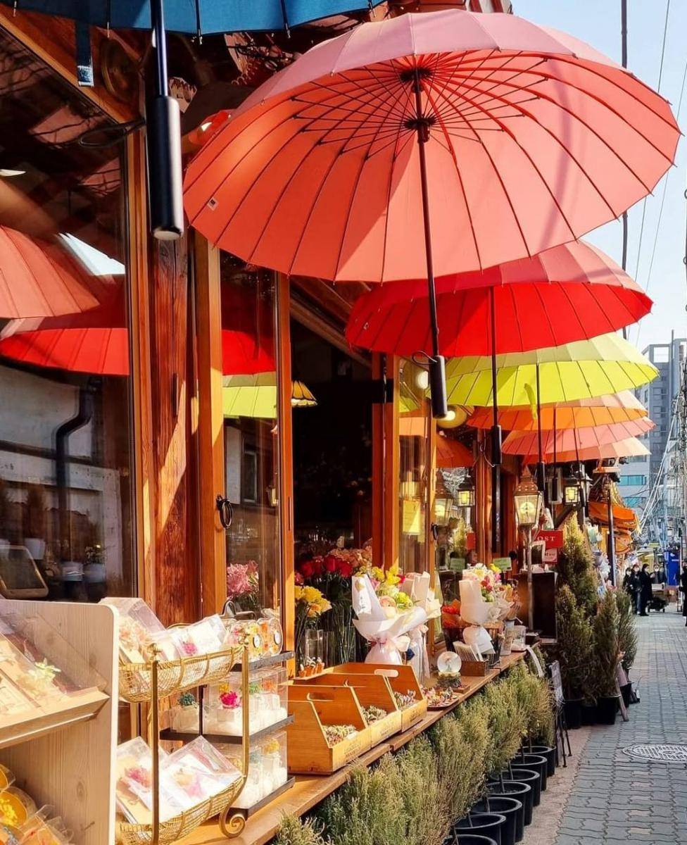 Potret Madang Flower Cafe di Korea Selatan (instagram.com/shorty_thewanderer)