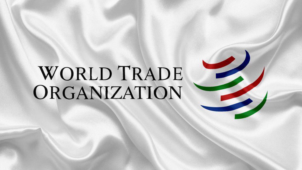 https://uznayvse.ru/images/content/2023/1/wto-logo_22.jpg