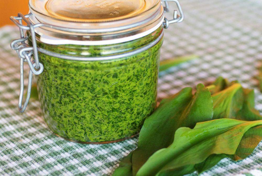 ilustrasi saus pesto (pexels.com/ivabalk)