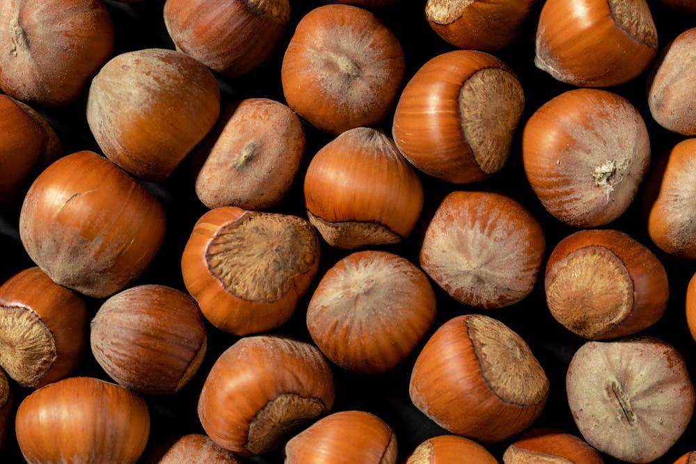 ilustrasi kacang hazelnut (pexels.com/ Mikhail Nilov)