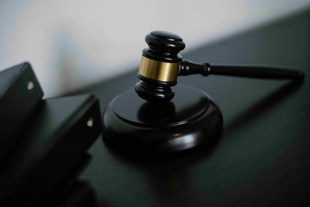 2 Terdakwa Perdagangan Ilegal Burung Sumatra Divonis 3,3 Tahun Bui