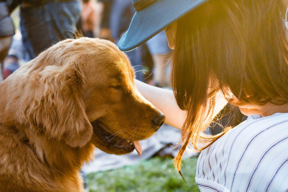 Kenapa Anjing dan Manusia Bisa Bersahabat? Ini Kata Peneliti
