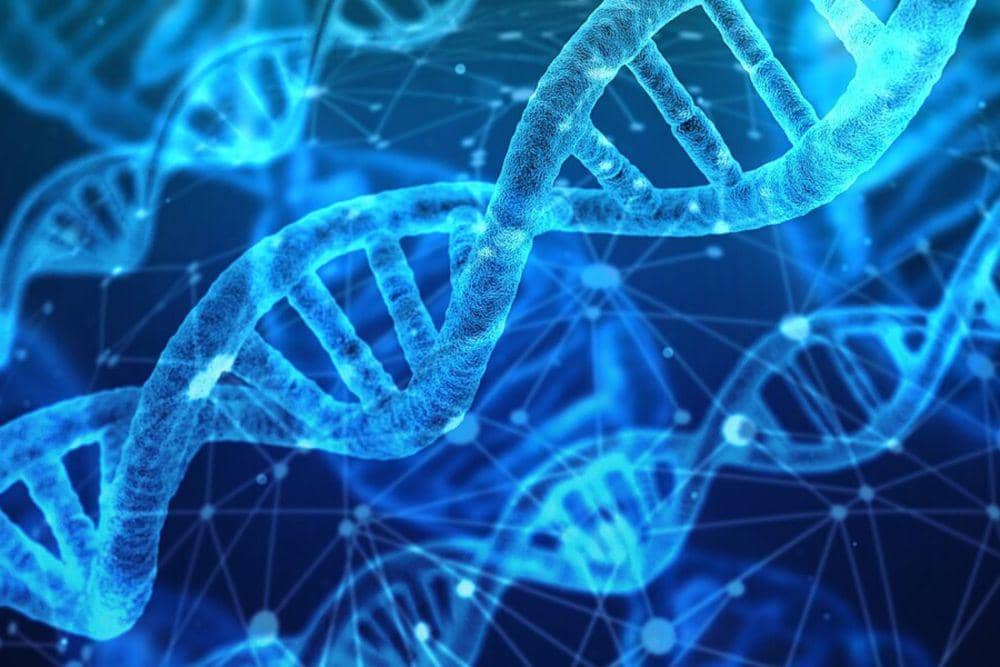 ilustrasi DNA (pixabay.com/geralt)