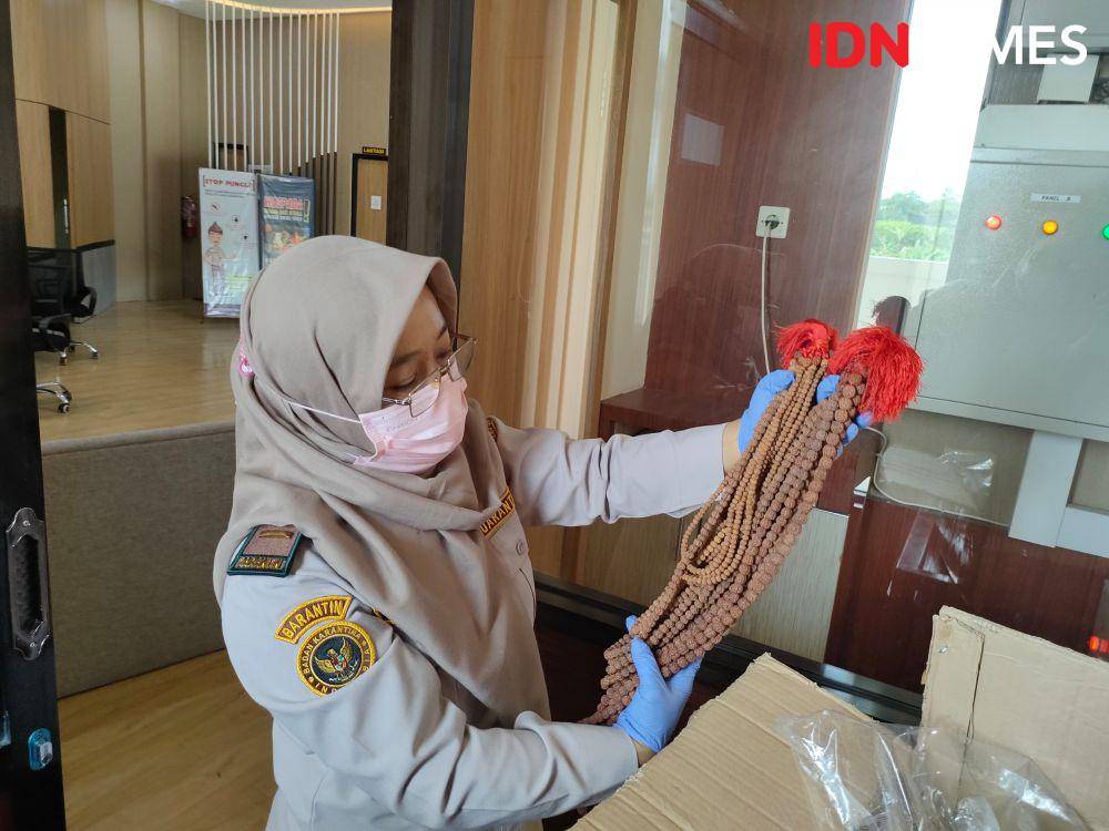 Petugas karantina tumbuhan saat menunjukkan kalung Jenitri yang siap ekspor. (IDN Times/Fariz Fardianto)