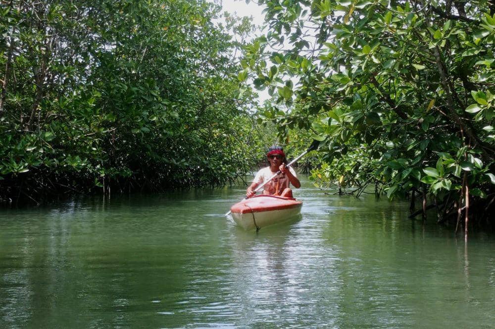 Ketua Akar Bhumi Indonesia, Sony Riyanto saat menyusuri hutan mangrove di Batam (IDN Times/Putra Gema Pamungkas)