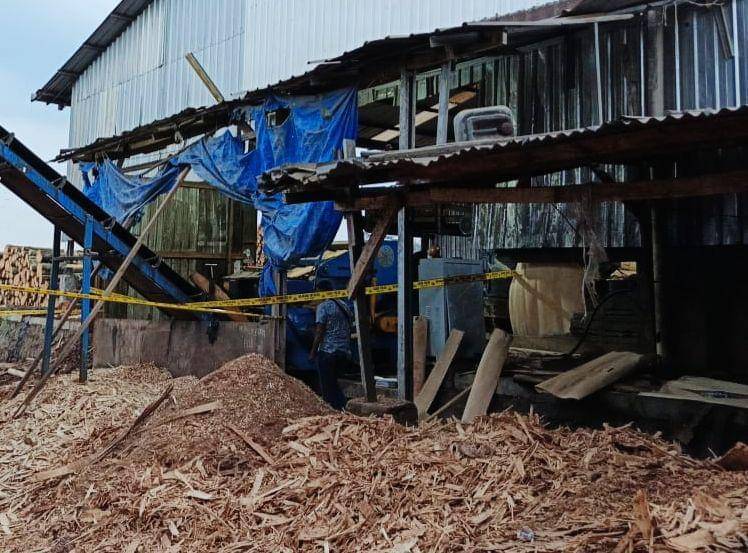 Penampakan TKP di PT Minggok Indonesia (MI), sebuah perusahaan pengolahan kayu yang berlokasi di Dusun Way Kekah, Kampung Terbanggi Besar, Kecamatan Terbanggi Besar, Lampung Tengah. (Dok. Polres Lampung Tengah).