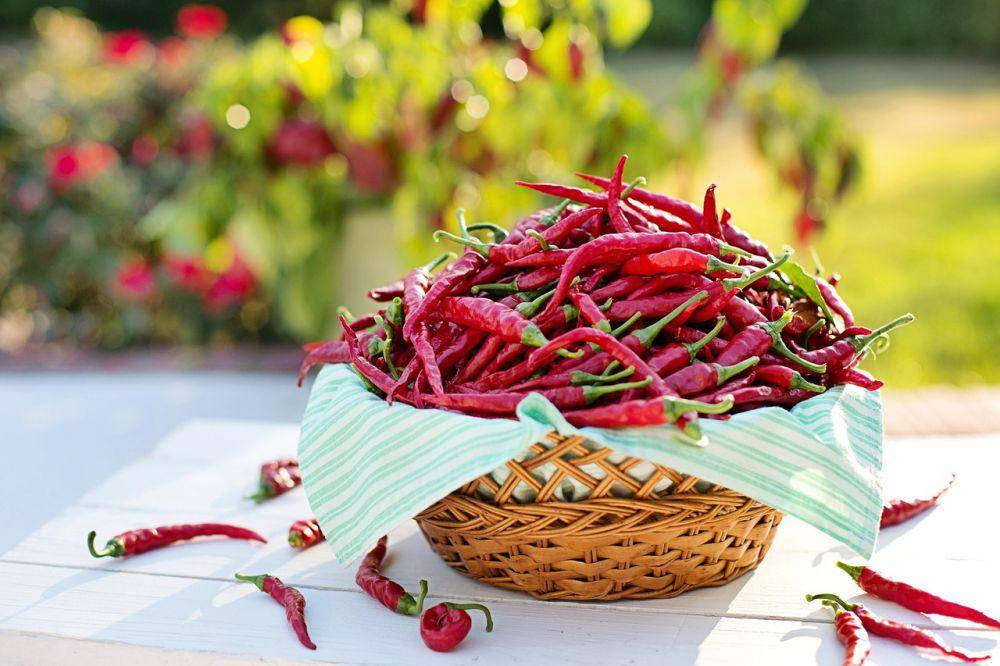 Cabai merah www.pixabay.com/JillWellington