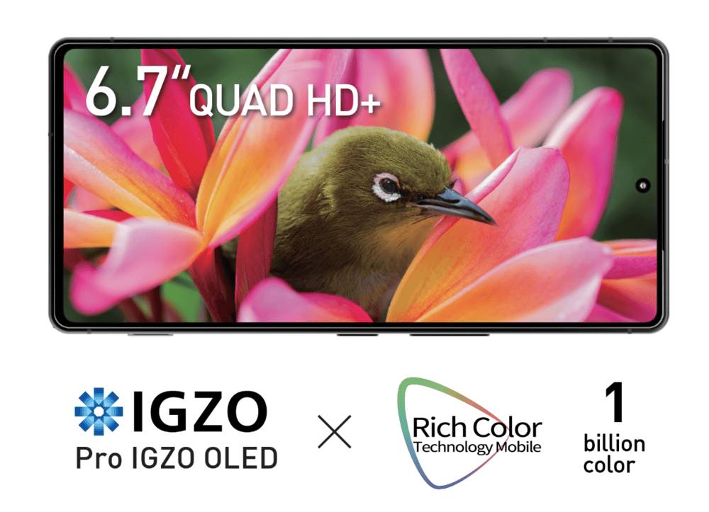 Sharp AQUOS R9 Pro ditunjang layar Pro IGZO OLED berukuran 6,7 inci (sg.sharp)