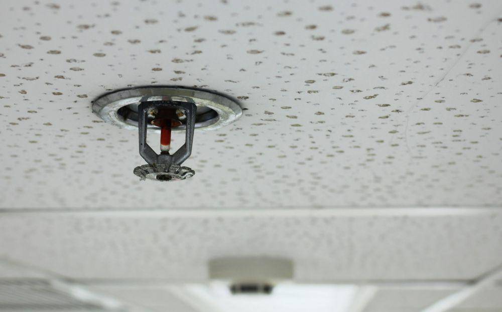 Potret water sprinkler di hotel (radfiresprinklers.com)