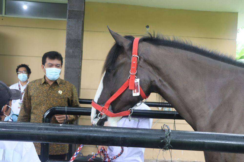 IDN Times/Maya Aulia Aprilianti
