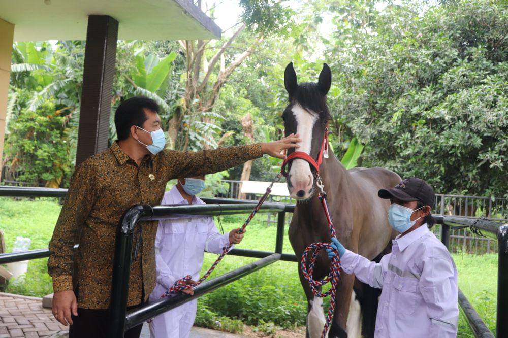 IDN Times/Maya Aulia Aprilianti