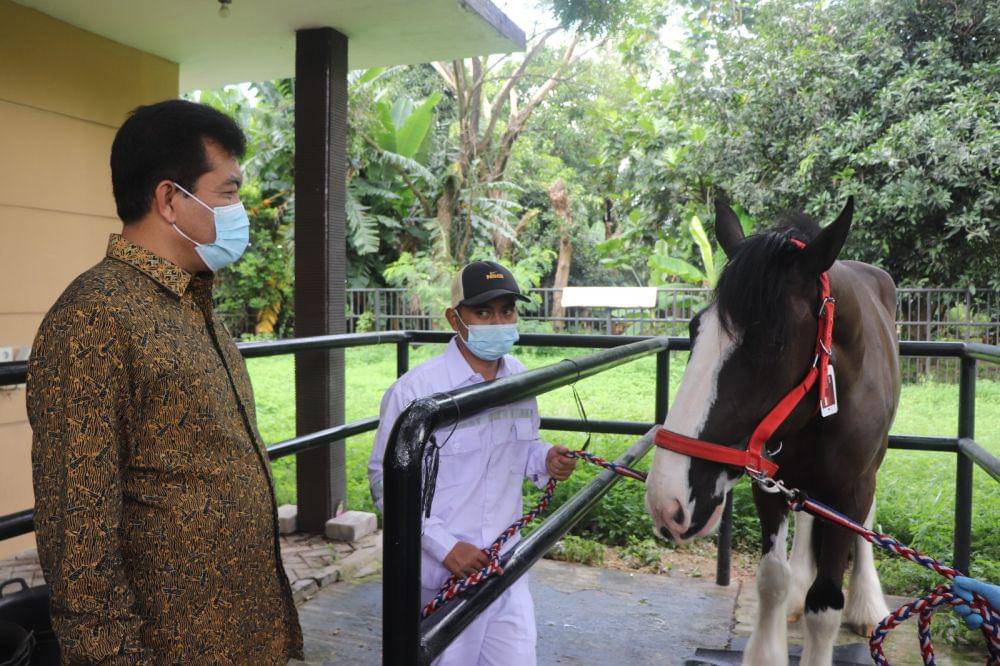 IDN Times/Maya Aulia Aprilianti