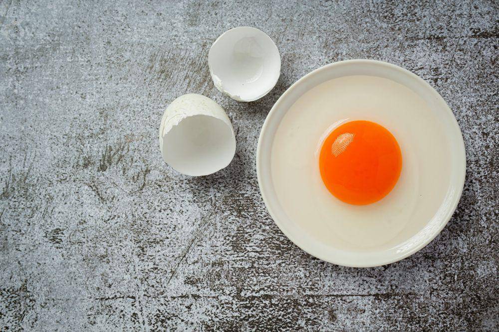 ilustrasi telur omega 3 (freepik.com/jcomp)