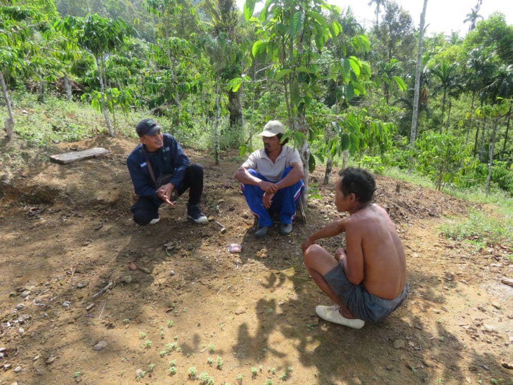 Penemuan jajak harimau di area persawahan Desa Batu Raja, Kecamatan Pesisir Utara, Kabupaten Pesisir Barat. (IDN Times/Istimewa).