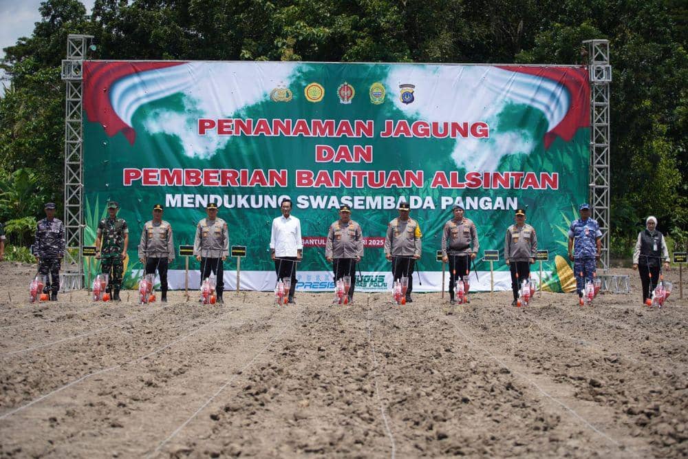 Dukung Ketahanan Pangan, Lahan Tidur di Canden Bantul Ditanami Jagung