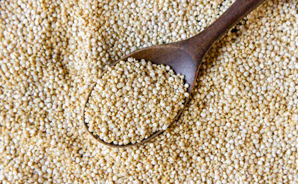ilustrasi quinoa (freepik.com/KamranAydinov)