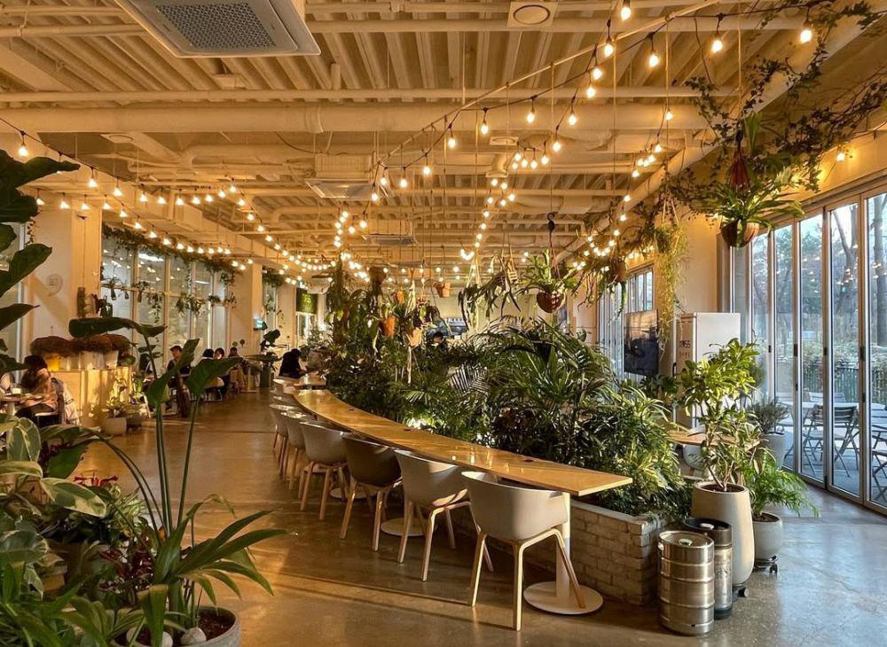 5 Tempat Lokasi Syuting Drakor Love Scout, Cafe dan Resto Estetik!