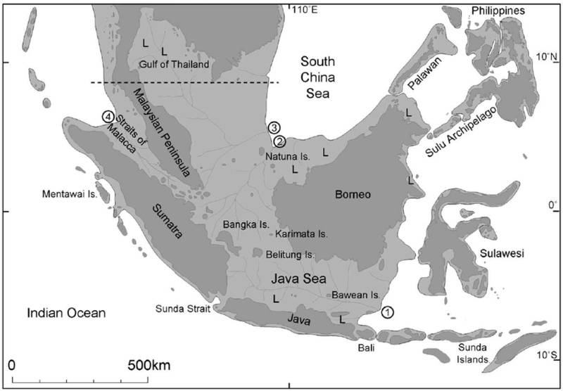 ilustrasi Paparan Sunda yang menghubungkan wilayah Asiatis dengan Asia daratan (commons.wikimedia.org/ש.מירון)