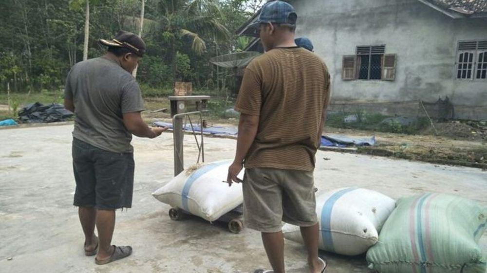 Ratusan KUD di Jatim Mati Suri