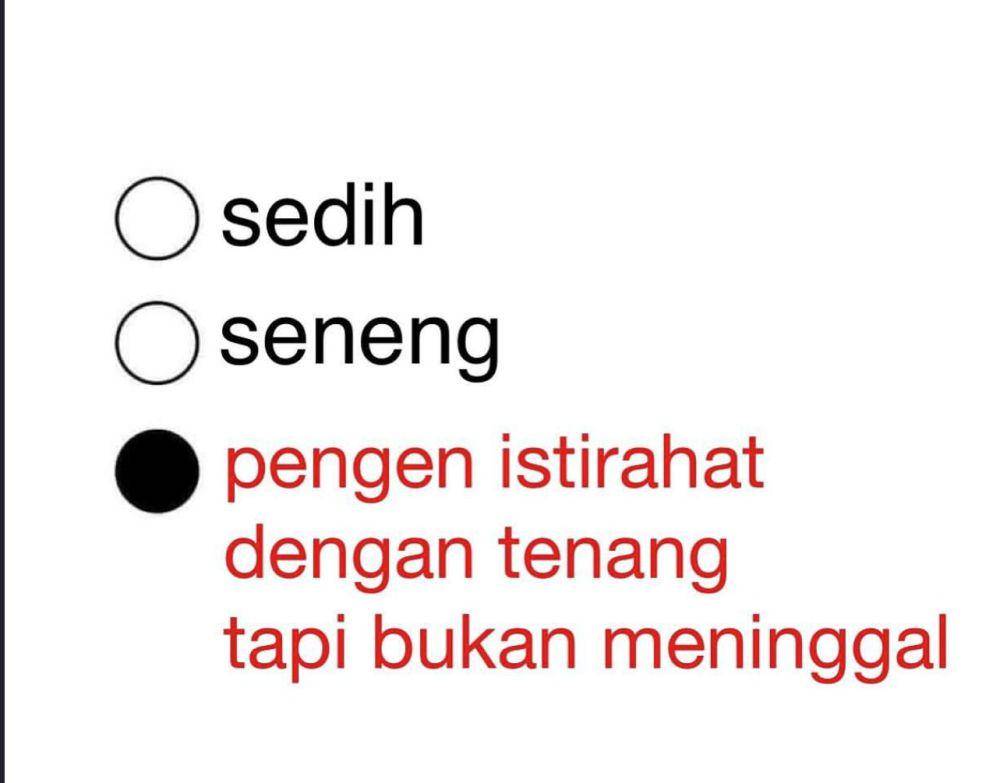 Meme opsi perasaan (x.com/spiderrmn)