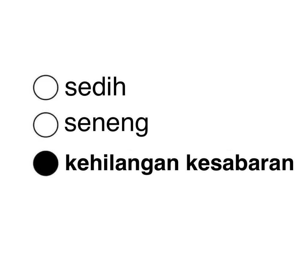 Meme opsi perasaan (x.com/adityajuliannn)